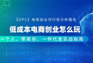 【OPC】低成本电商创业怎么玩