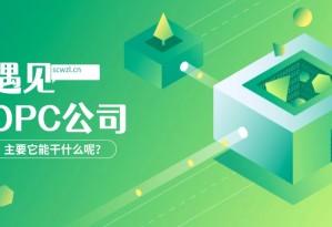 OPC(一个人)就是一家电商公司