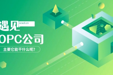 OPC(一个人)就是一家电商公司